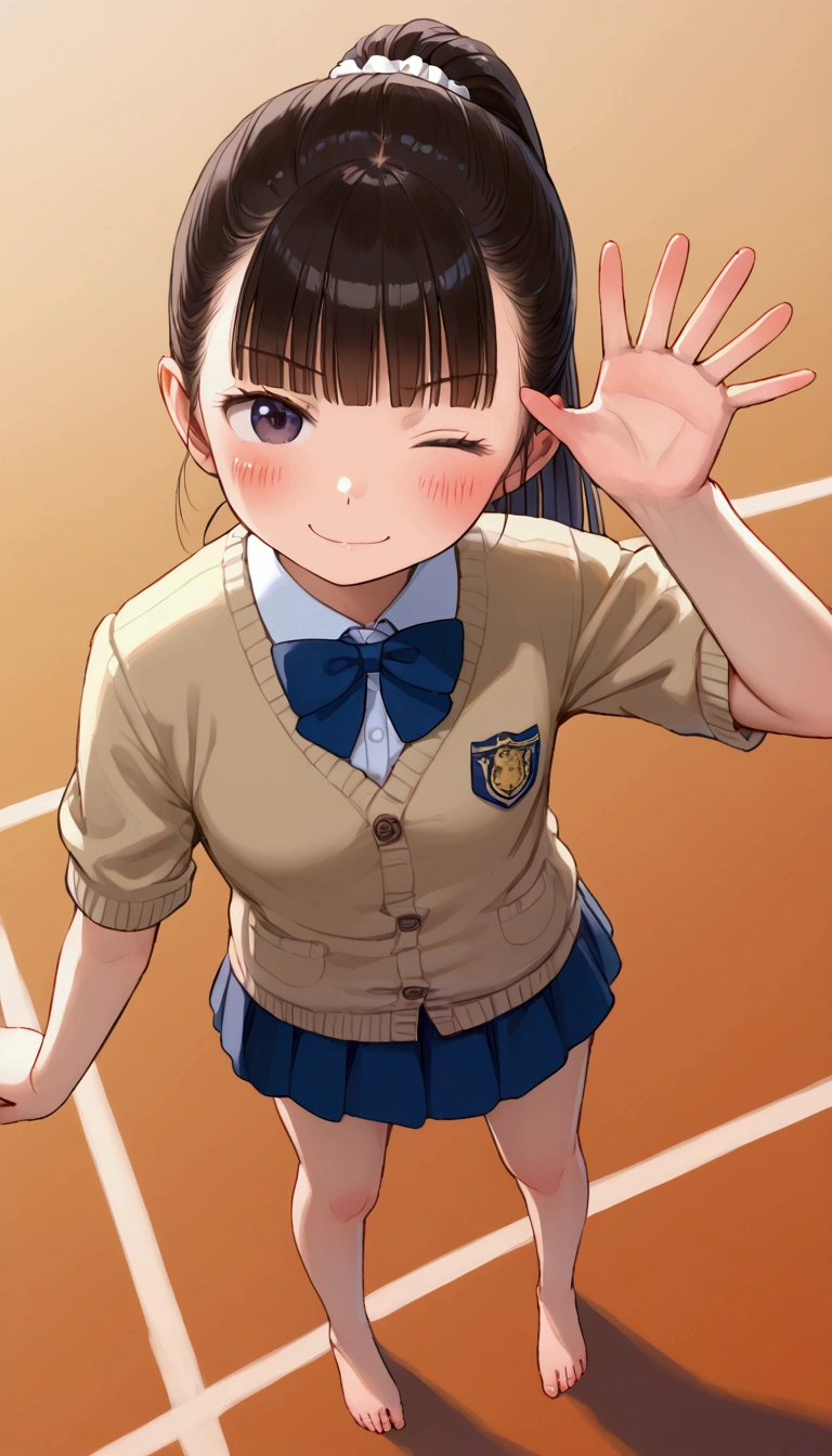 {Highest quality}, {Super beautiful},{Ultra fine},{Best illustration},Brown Hair,Hime cut,long hair,ponytail,One woman,Standing Woman,Strike a pose,Adult women,smug face,Excited face,Wink,uniform,cardigan,Short sleeve,skirt,In the gym,Blushing,Slender,barefoot,From an angle,From above,Spread your legs,Waving with one hand,