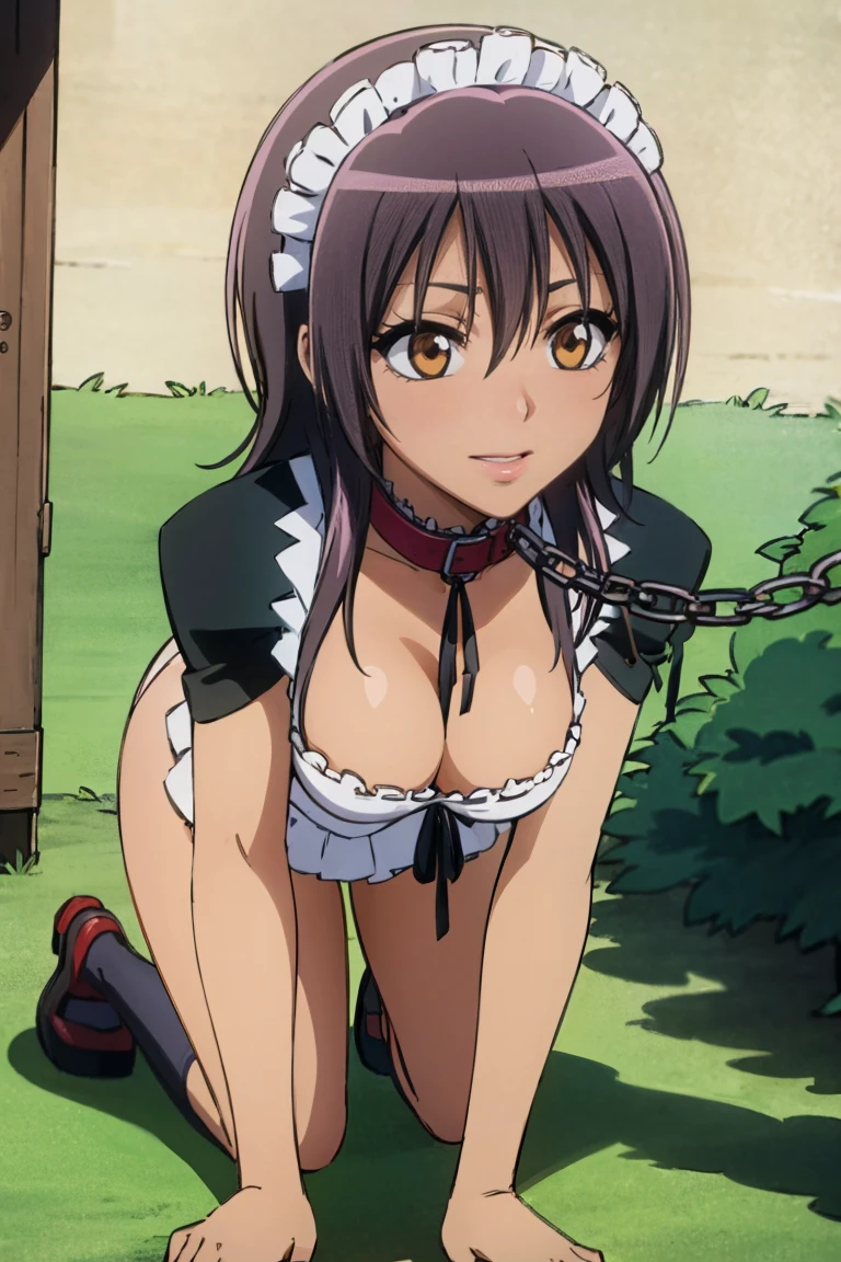(Very detailed CG ユニティ 4k 壁紙),(masterpiece),(Highest quality),(Very detailed),(Best illustrations),(Best Shadow),(Absurd),(Detailed Background), ayuzawa misaki, 1girl, 独奏, maid, black hair, long hair, brown eyes, (((animal collar, collar, viewer holding chain leash, medium breasts, on all fours, hand on the ground))), (((open mouth, tongue out, stick out tongue, long tongue, full face blush, sexual ecstasy smile, fucked silly, vulgarity))), perfect female body, maid headdress, fair skin, cleavage cutout,