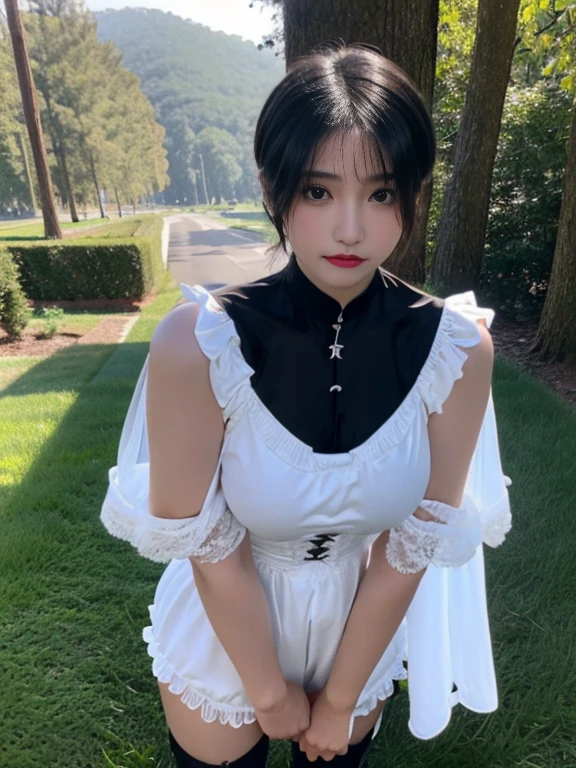 (8k、RAW Photos、of the highest quality、masterpiece:1.2)、(realist、realist)、1 girl、((black ocks、Atar、transparent、Boots、big breasts、View from the front、cute costumes、They are standing))