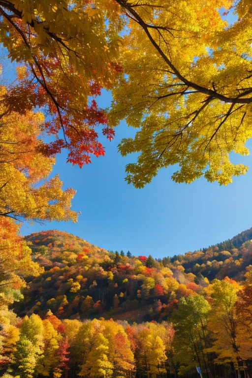 Mountain、autumn leaves