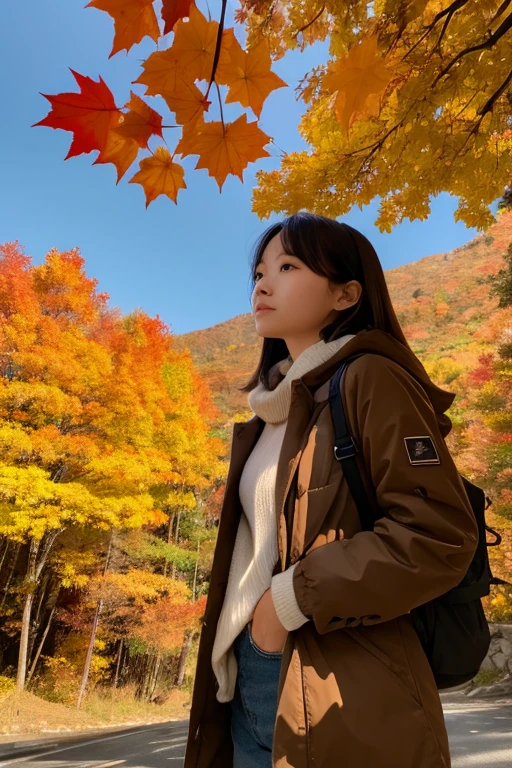 Mountain、autumn leaves