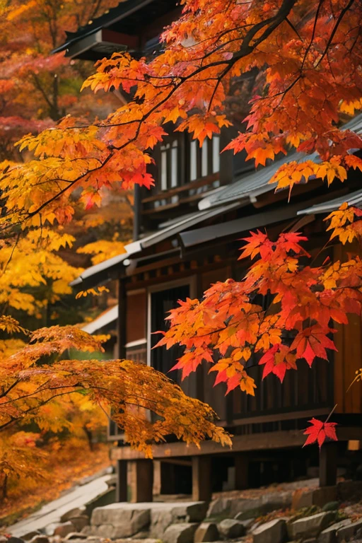 Mountain、autumn leaves