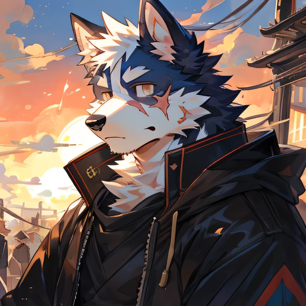 masterpiece，high quality，perfect anatomy，furry，anthro dog，border collie，male， niji5，brown pupils，bright eyes，broken sky，scar on face，detailed face，by kiyosan，close up face