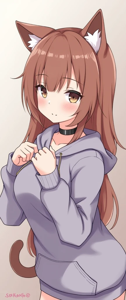 Cat ear,Pure,Obedience,beautiful girl,blush one&#39;s cheeks,choker,hoodie,Mature,Naughty