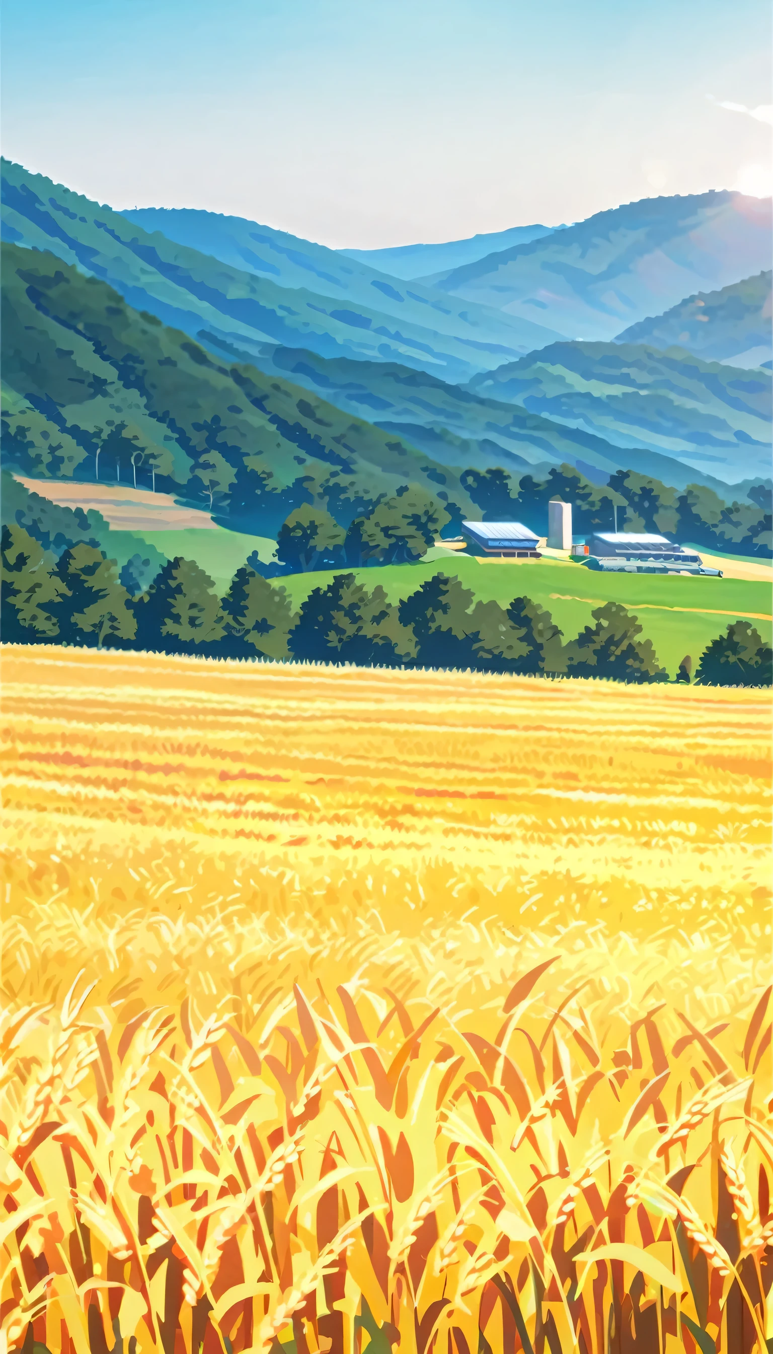 Wheat Field,hillside,Hiking, plateau, summer,Many photovoltaic power stations,nobody