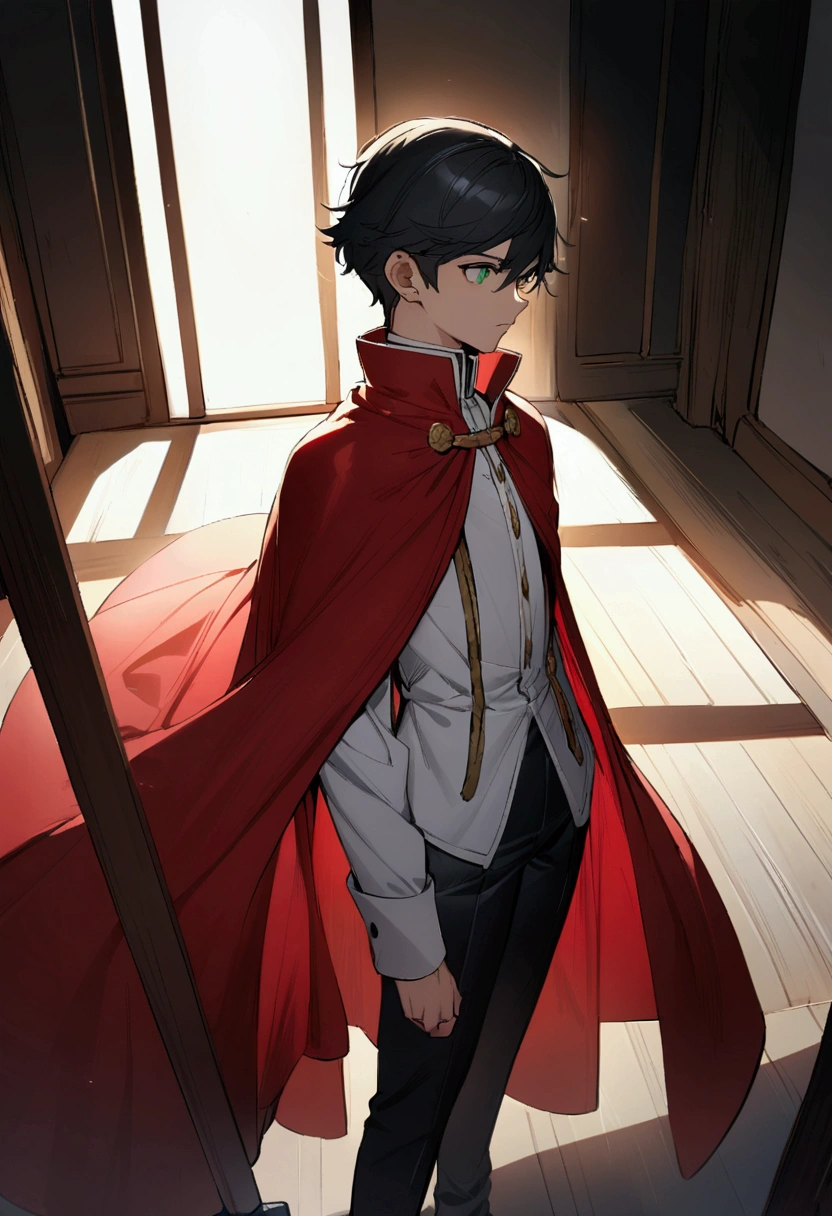 boy, , short stature, thin, black hair, green eyes, White shirt, a red cloak with a high collar, black pants, an aristocrat 