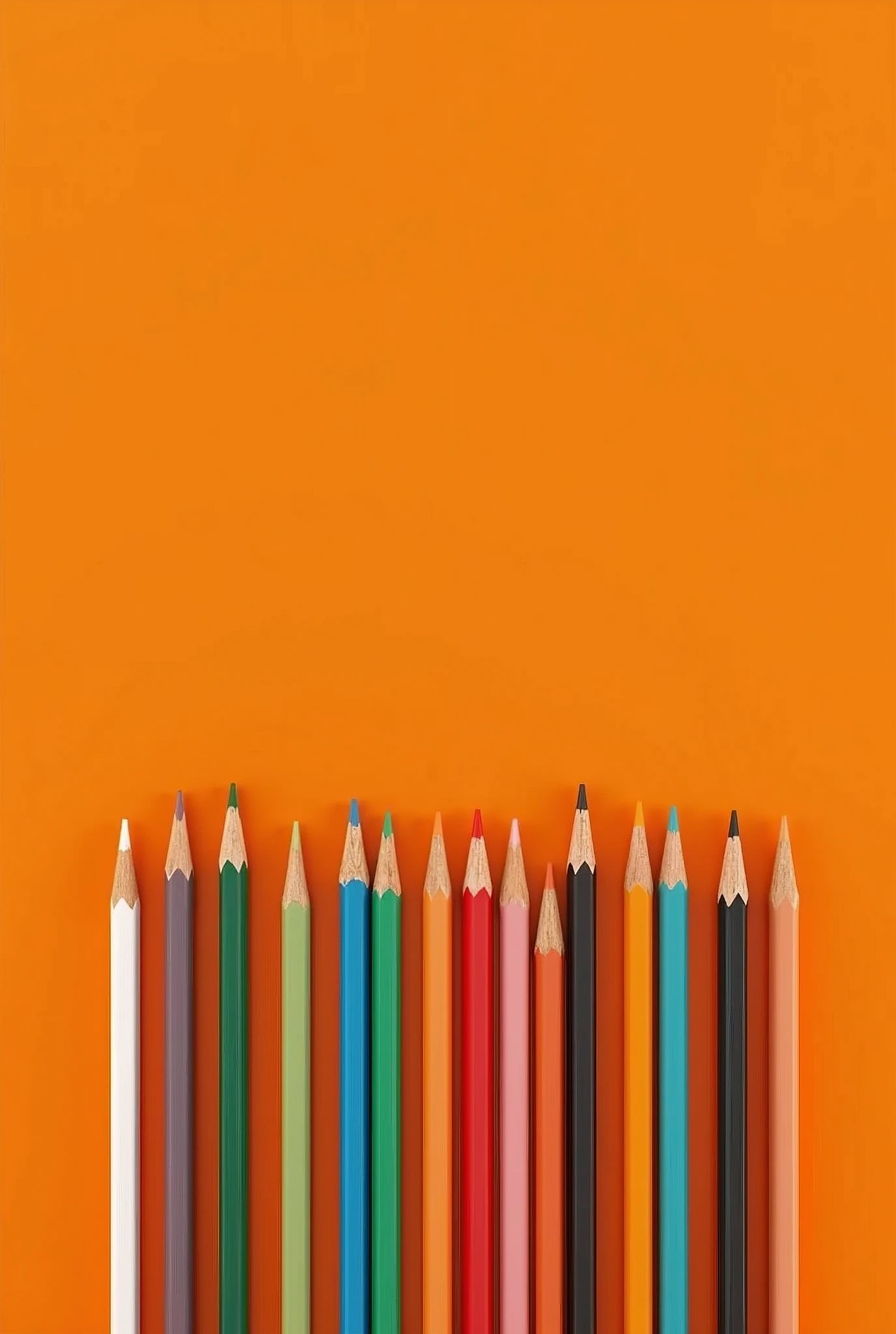 pencils in a row on an orange background 4k