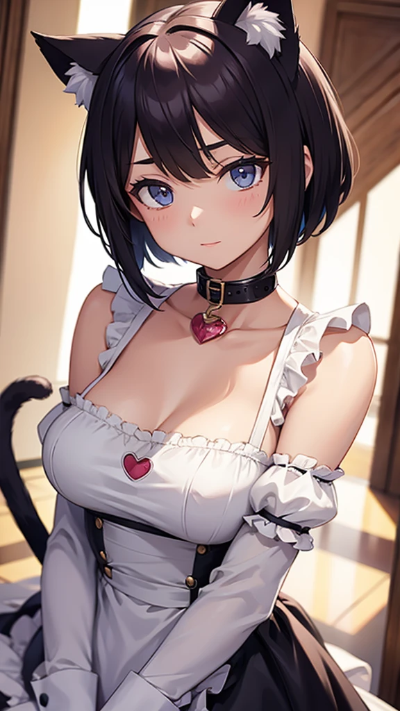 one girl,with one pair of cat ears,
short hair,one cat tail,dressed as a maid,With a collar around the neck,Darling,flushed face