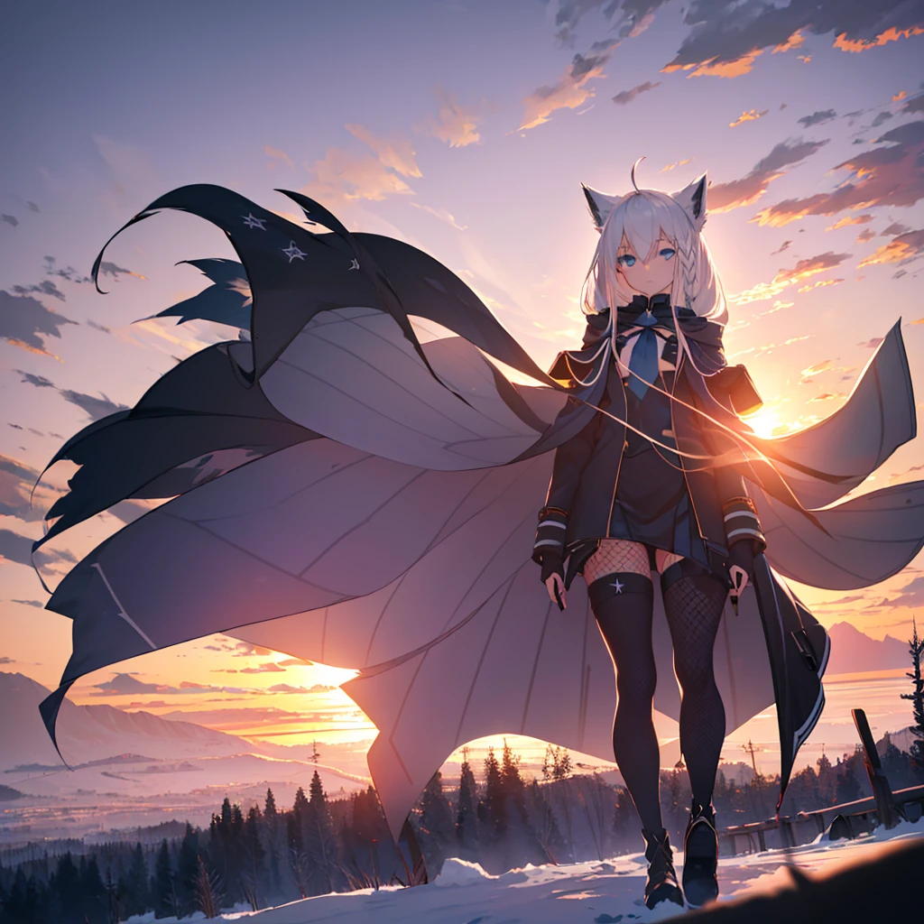 (Highest quality, 8k, 1 person, alone, Silver Hair, Long Hair, Gorgeous Hair_style), blue eyes, Expressionless, ( Black Legs_Fishnet tights, body_stockings, Cape), army_Have, Warm lighting, sunset, Snow Mountain、front