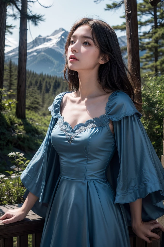 masterpiece, best quality, marianne_timeskip, blue dress, capelet, dark alpine forest, standing, night, looking up, upper body, detailed face