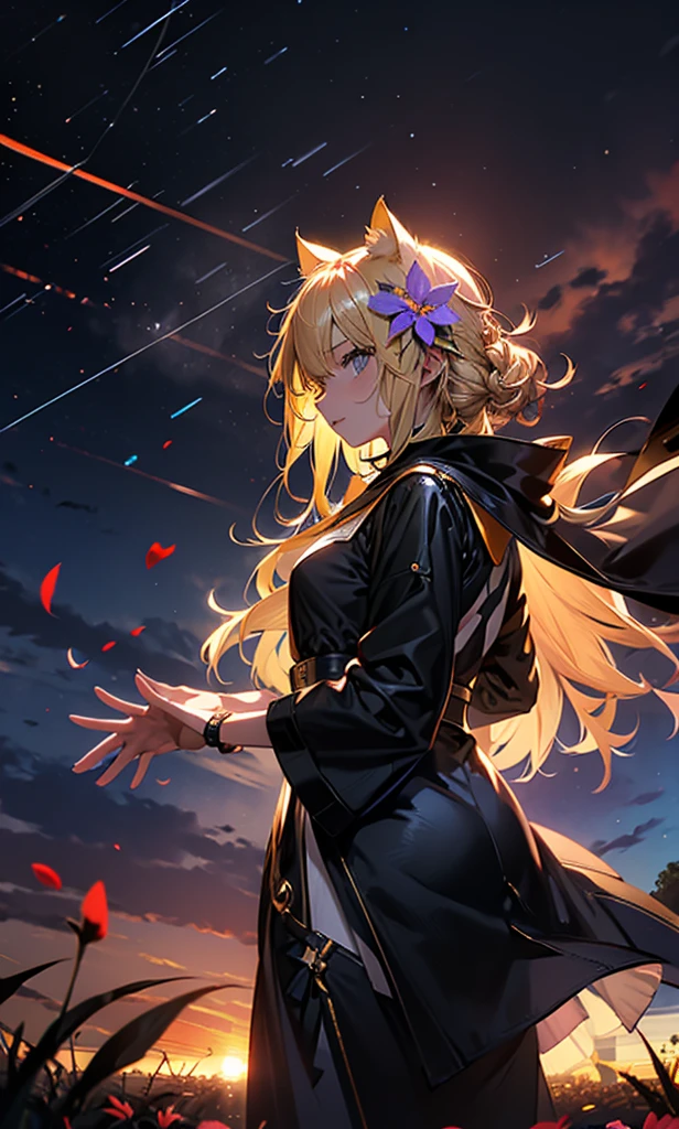 １people々々,Woman with medium length blonde hair，Cat ear，Long coat，Takageta， Dress Silhouette， Rear View，Space Sky, Flower Field，Countless meteor showers，Colorful flowers，Dancing Petals，
