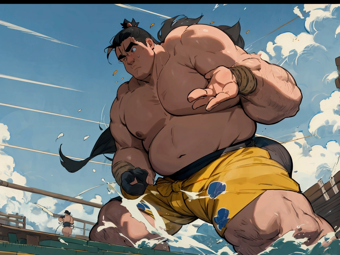Professional Sumo、game