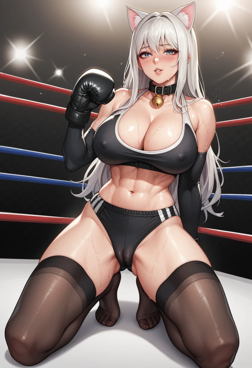 South Korean female boxer,18 years old,Pretty Face,Good shape,detailed picture, Seductive expression, blush,White long hair, Wear wrestling clothes,Soaked,Wear black garter stockings,No shoes, Wearing black boxing gloves,Black sleeves on arms, Sit in the boxing ring and stretch one foot forward,Large Breasts,Cleavage,Long legs,Thin waist,nipple,Camel toe,Collar,Cat ear
