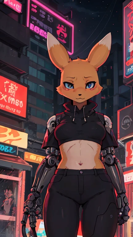 detailed background, cyberpunk cityscape, neon-lit buildings towering above, rain-soaked streets reflecting the vibrant lights, (furry female:1.1), Renamon character from Digimon series with sleek orange fur and white accents, ((cybernetic enhancements integrated into her body):1.4), glowing circuits visible beneath her translucent skin, sharp claws glistening in the dim light, (slim build with a hint of muscularity:0.9), standing tall and confident amidst the bustling city atmosphere., BREAK
(hardline, outline), furry anime kemono, (lineart:0.6), (flat shading, flat colors:1.1), (vibrant colors:1.1), [by dagasi|ancesra:1.4]