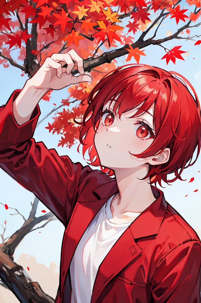 Looking up at the crimson maple tree、With red short hair、Wearing a dark red suit jacket over my shoulders、Wearing a white t-shirt and denim jeans、youth、man