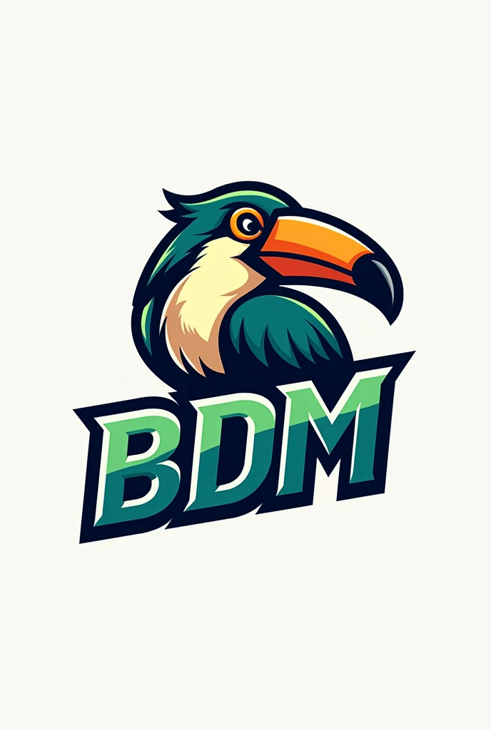 Basketball team logo, involving a toucan and the letters "BDM"