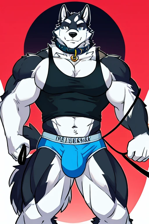 Alaskan Malamute dog black and white fur, muscular, with black sleeveless shirt, furry, with eyes covered, blue underwear, with dog collar and leash