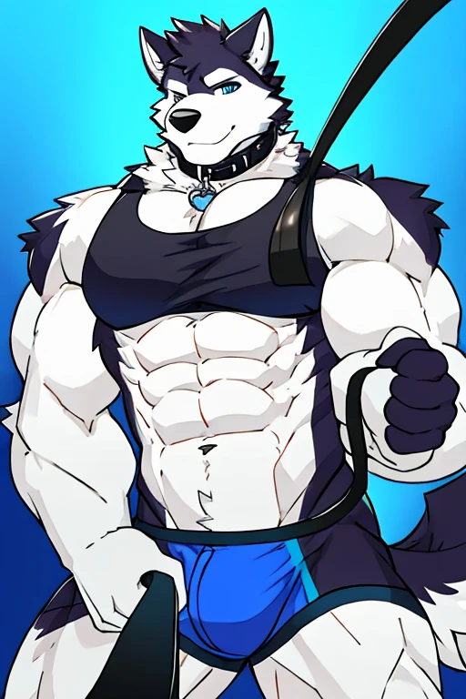 Alaskan Malamute dog black and white fur, muscular, with black sleeveless shirt, furry, with eyes covered, blue underwear, with dog collar and leash