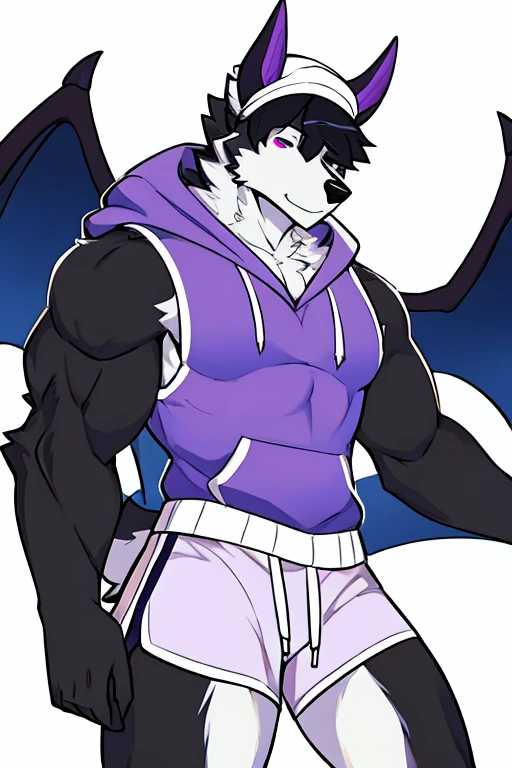 Male Alaskan Malamute Dog Purple and White Fur, With horns, demon wings , hair covering her eyes, White cap, muscular, white sleeveless hooded sweater, shorts negros