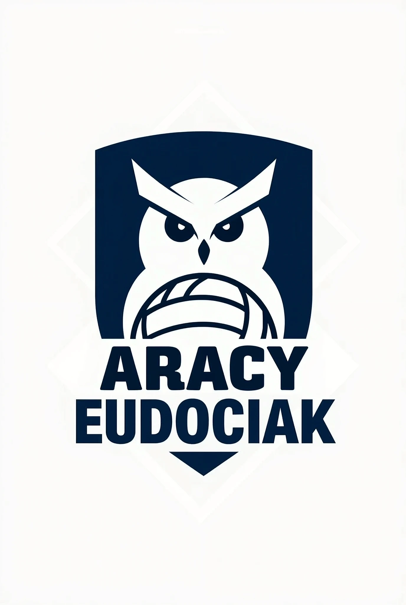 Create a logo with the volleyball theme with the name ARACY EUDOCIAK with an owl in the background and only the colors white and blue.