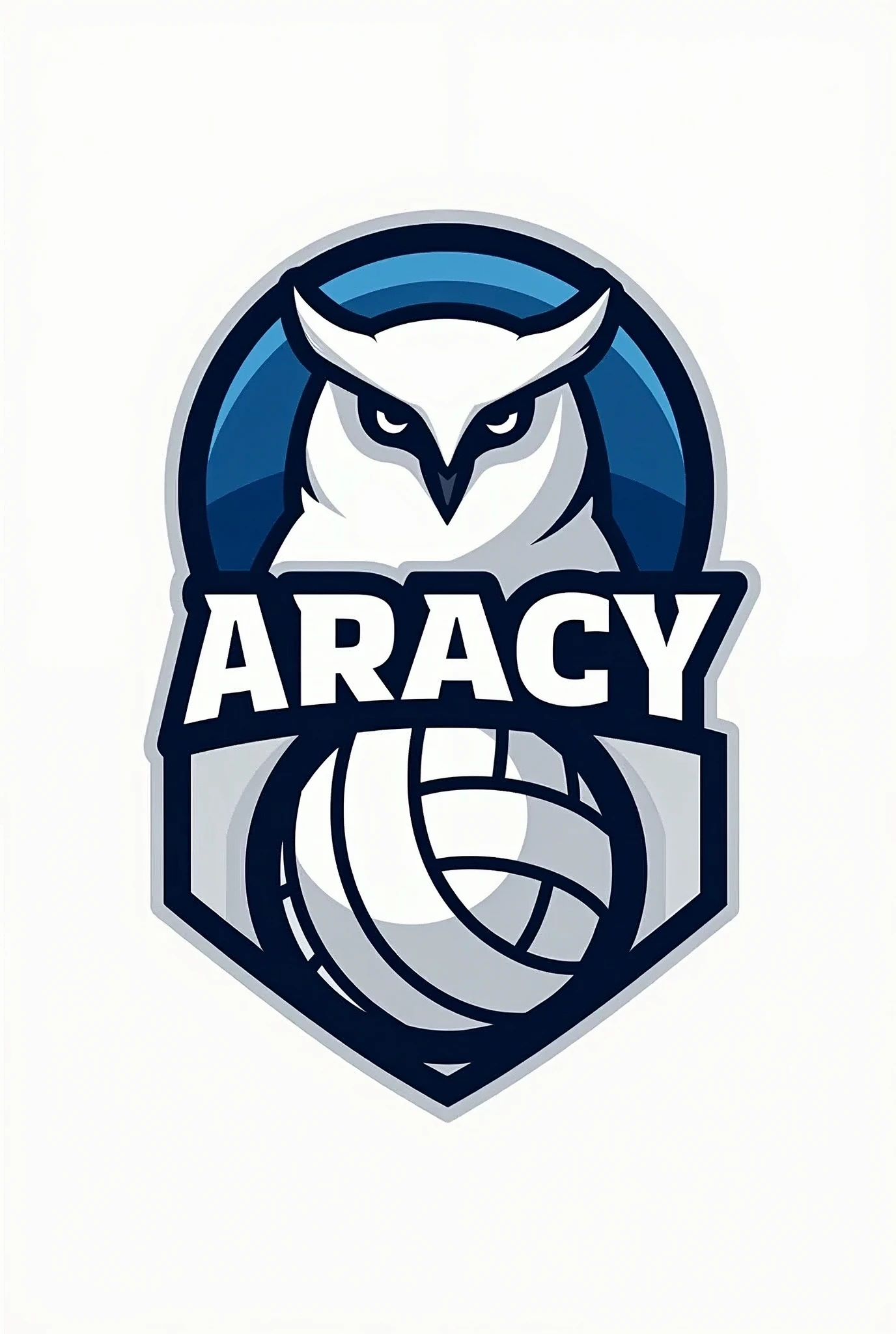 Create a logo with the volleyball theme with the name ARACY EUDOCIAK with an owl in the background and only the colors white and blue.