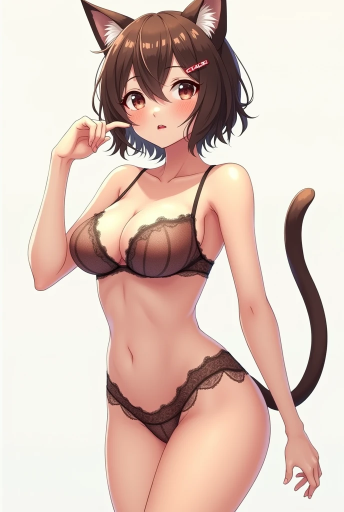 anime girl, with cat ears and tail, in lingerie, prominent bust and rear,short hair in different positions