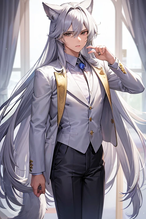 (masterpiece,best quality,ultra-detailed), an anime boy who is 21 years old, icy and stern actor. He has silver-white long hair with curtain bangs, golden thin eyes, alaskan malamute ears and tail, wearing business suit, pose like an actor, look at the viewer