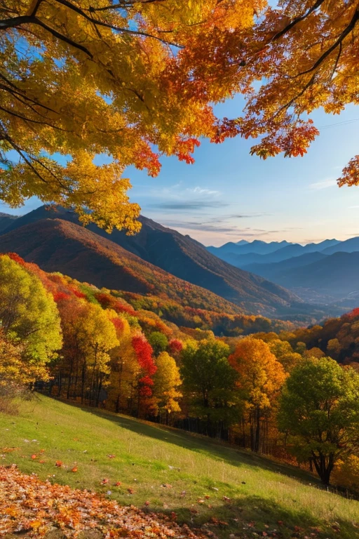 Mountain、autumn leaves、evening