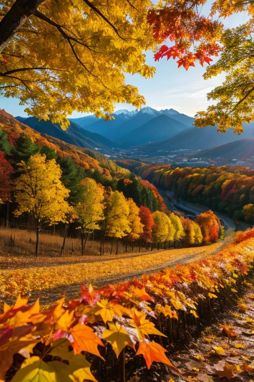 Mountain、autumn leaves、evening