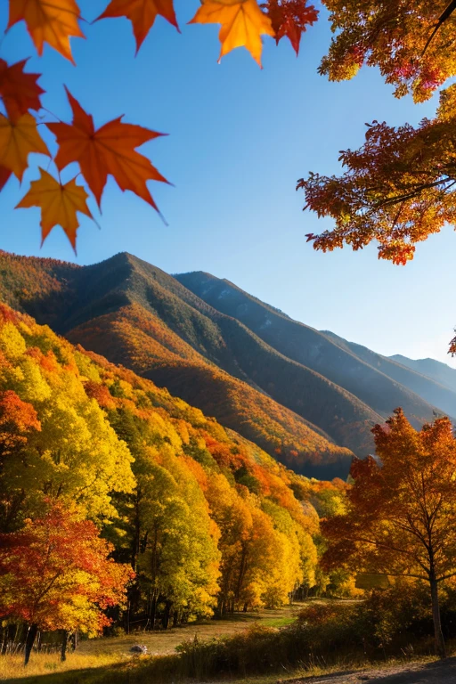 Mountain、autumn leaves、evening