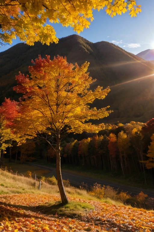 Mountain、autumn leaves、sunset