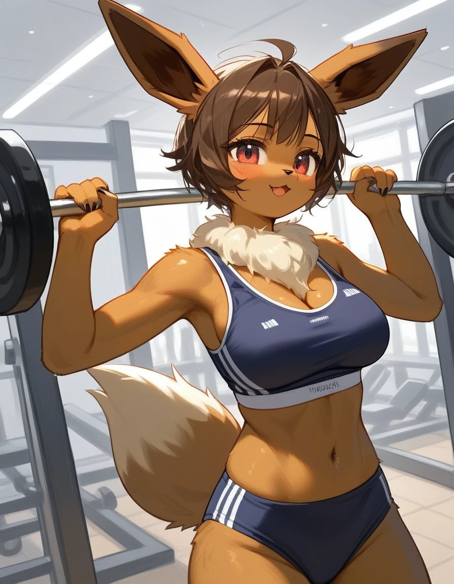 alone, score_9,score_8_up,score_7_up, anthro female eevee, sports bra, sport panties, gym, working out.