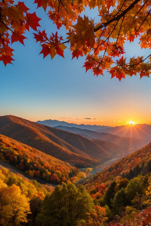 Mountain、autumn leaves、sunset