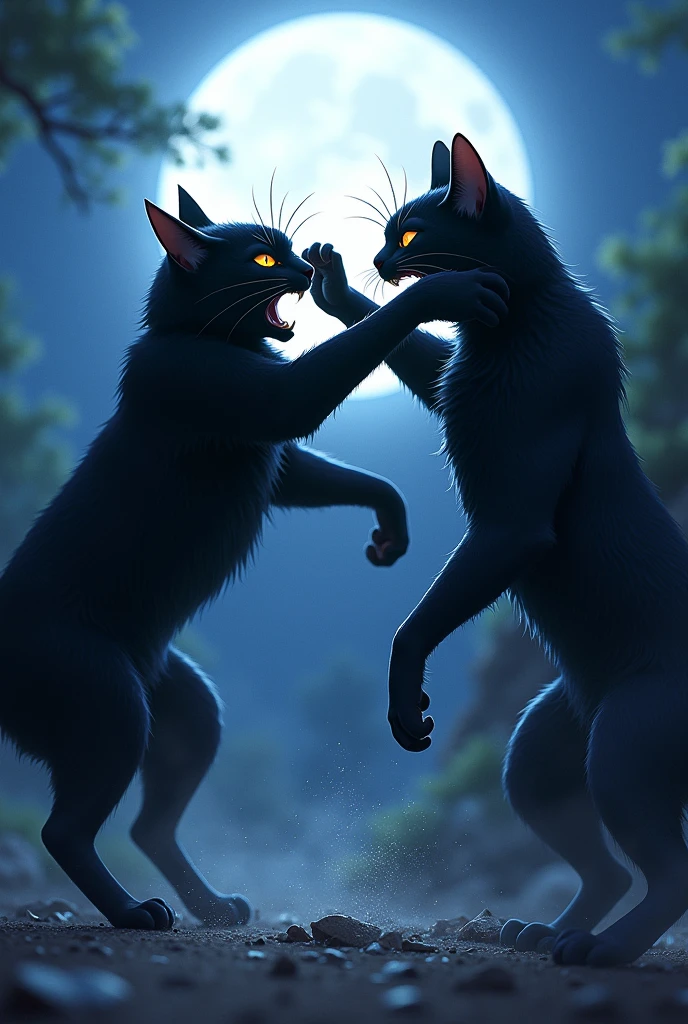 Two black cats fighting in the moonlight ((アニメ))