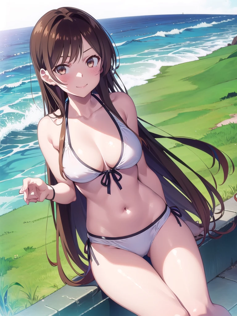 (((pixel-perfect, detail-perfect))), solo, 1girl, chizuru ichinose, naked,looking at viewer, smile, upper body1 girl, beauty, brown eyes, alone, breasts, brown hair, big breasts, Kanojo anime lineart, Chizuru, 1 girl, brown hair, long hair,, big breasts,,add_detail: 1, bikini, FULL BODY ,in the Beach, View from below 