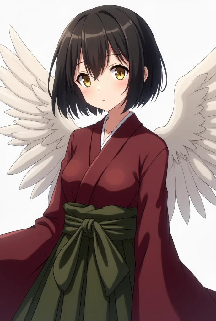 Anime Japanese Kimono Yellow eyes Black hair White wings showing through the back Maroon clothing Olive green hakama Female Small breasts Short center-parted hair Cross-dressing