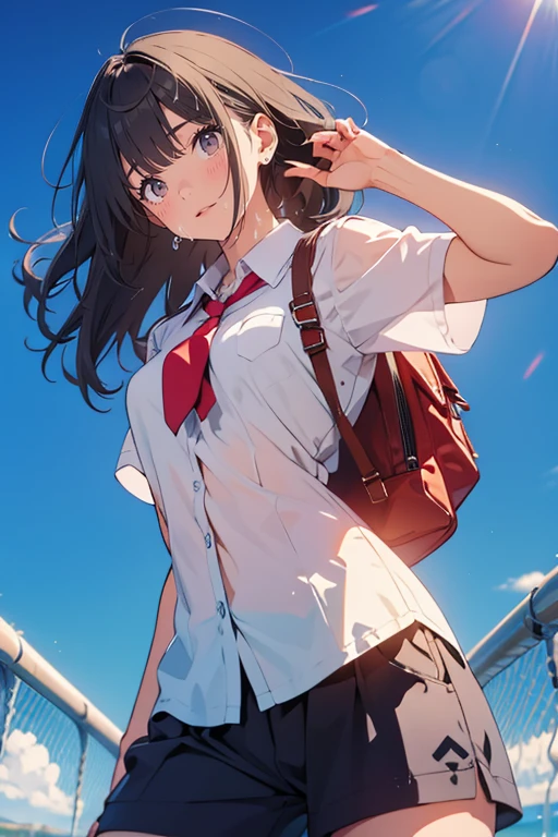 (masterpiece), (Highest quality), (Very detailed), (Best illustrations), (Best Shadow), (Absurd), woman, Age 25, View your viewers, vapor, shy, Sweat, Browsing Caution, Medium chest,