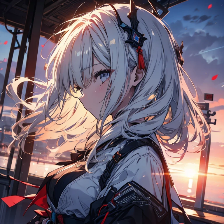 1 person、Mature、Ample breasts、Long Hair、White Hair、Look to the side、profile、Sad face、evening、Illuminated by the setting sun、Ferris wheel silhouette、Armament、Immerse yourself in memories、sad、Lonely、Eternal farewell、High resolution、Highest quality