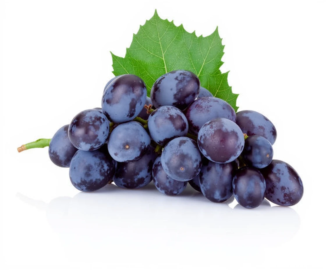 detailed, Black and white botanical illustration of grapes.the image should highlight a bunch of grapes,Grape leaves embellish.Style should be similar to vintage botanical illustrations with light lines and minimal black shading, Focus on natural elements,No heavy shadows