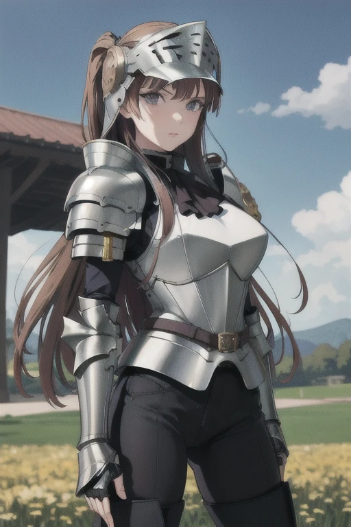 masterpiece, best quality, Noel Marres Ascot, helmet, armor, belt, gauntlets, (black pants), thighhighs, (armor boots), large breasts, field, sky, looking at the viewer, facing the viewer