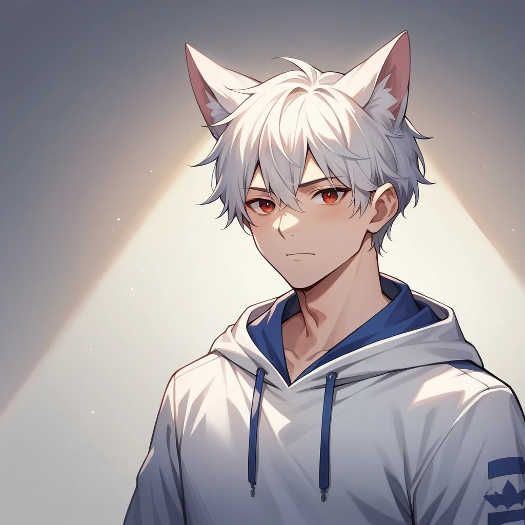 ((Best quality)), ((masterpiece)), (detailed) 1boy, Short white hair, Red eyes, Fox ears, Blue and white hoodie, Full view.