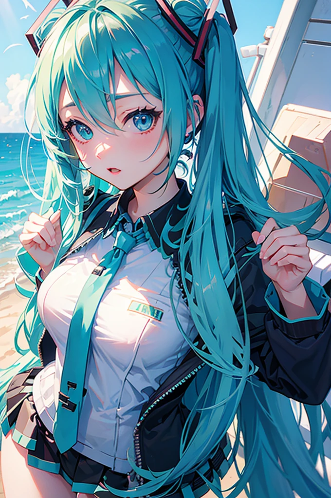 tits 、Hatsune Miku 
