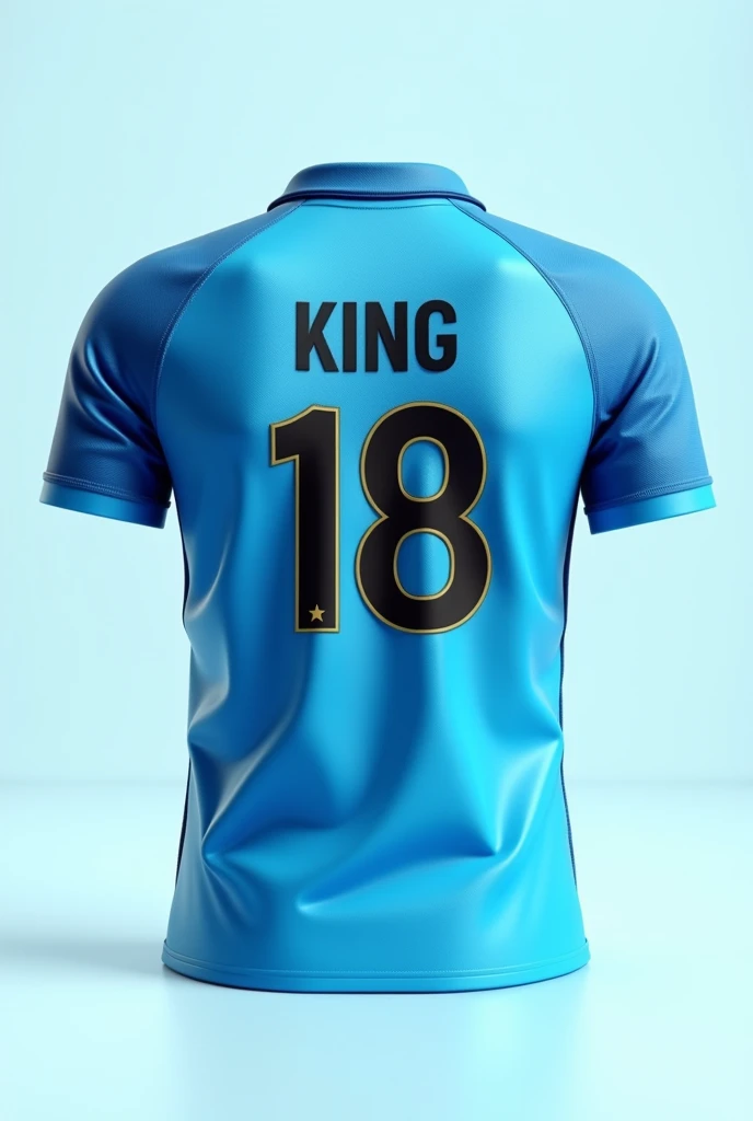 Sky blue indian cricket jersey, only jersey,whose back side big bold king 18