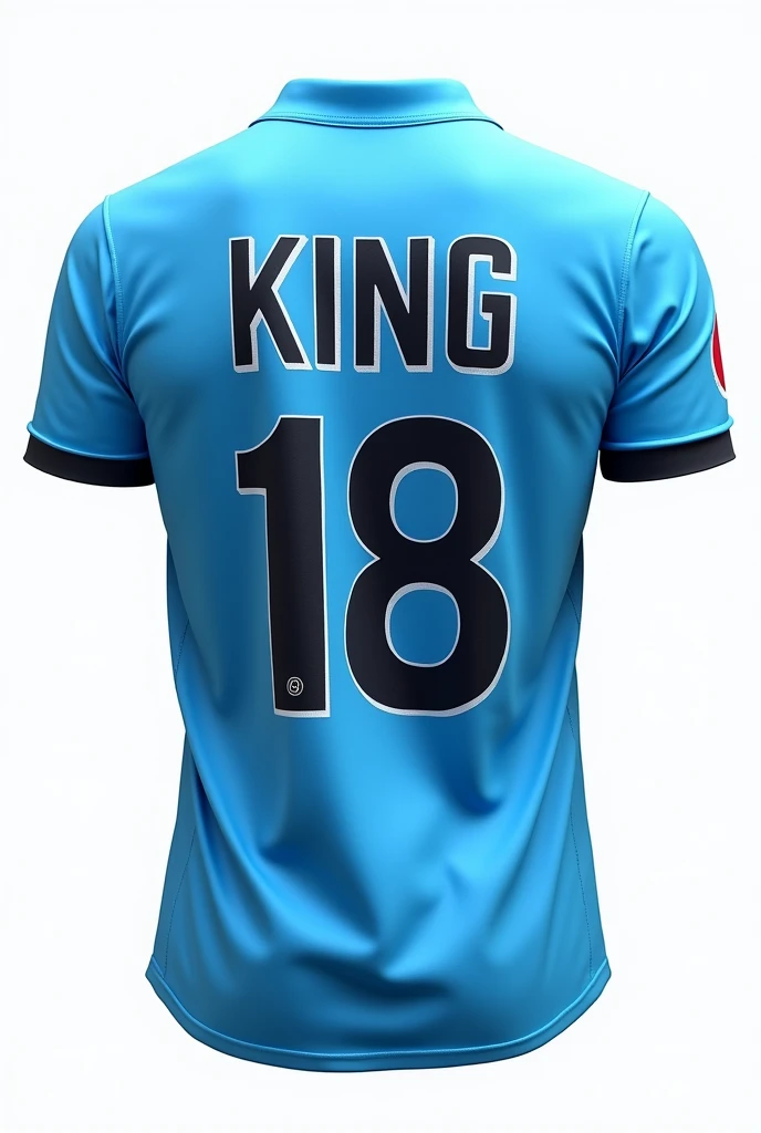 Sky blue indian cricket jersey, only jersey,whose back side big bold king 18