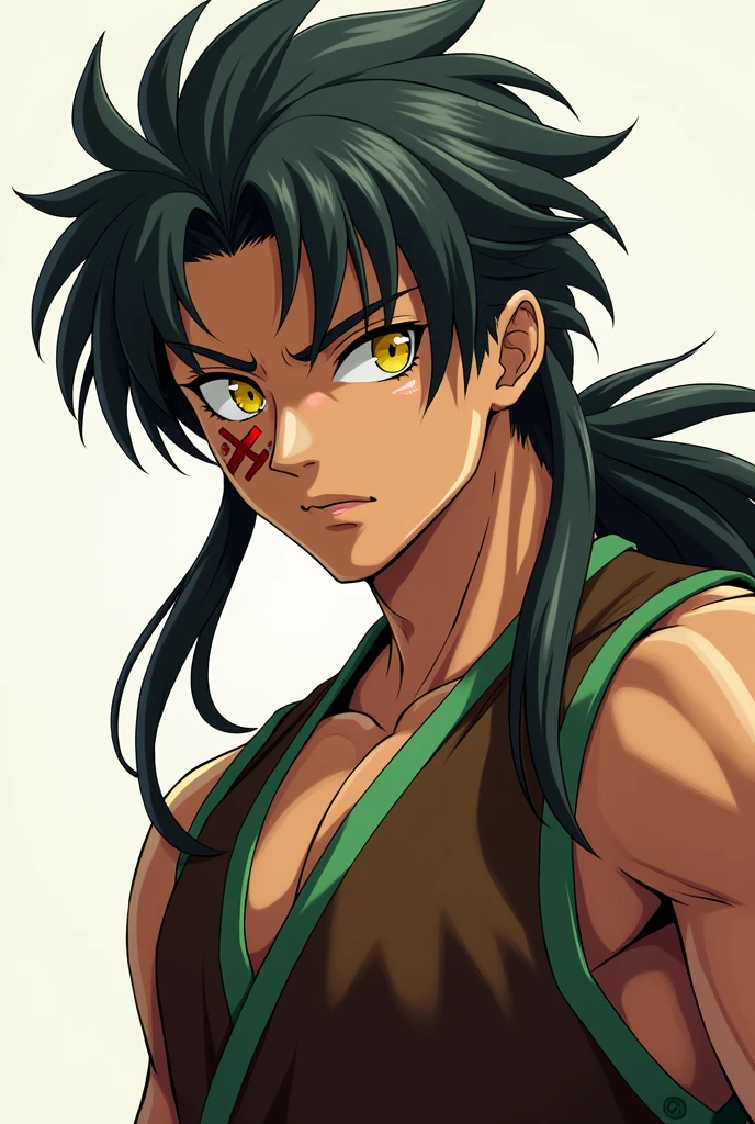 Anime style, Young Man, Long dark hair, athletic body, yellow eyes, scar on the face, brown tunic with green details, Tall man, Serious