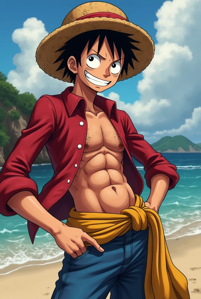 Luffy with a big penis