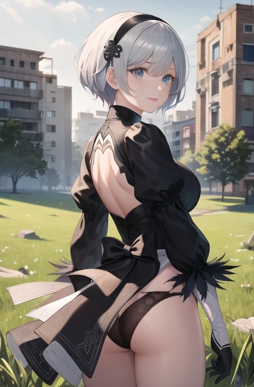 masterpiece, Top quality, High Resolution, HM2B, Blue eyes, Rem, blue short hair, Occasional hair ornaments, Clothes clippings, Long sleeves, Puff sleeves, Juliet sleeves, Feather ornaments, Black thighs, Black gloves, Black dress, Black skirt, Outdoors, Grass, Building, Ruins, Field, Back, Showing ass, Black panties, Cowboy shot,