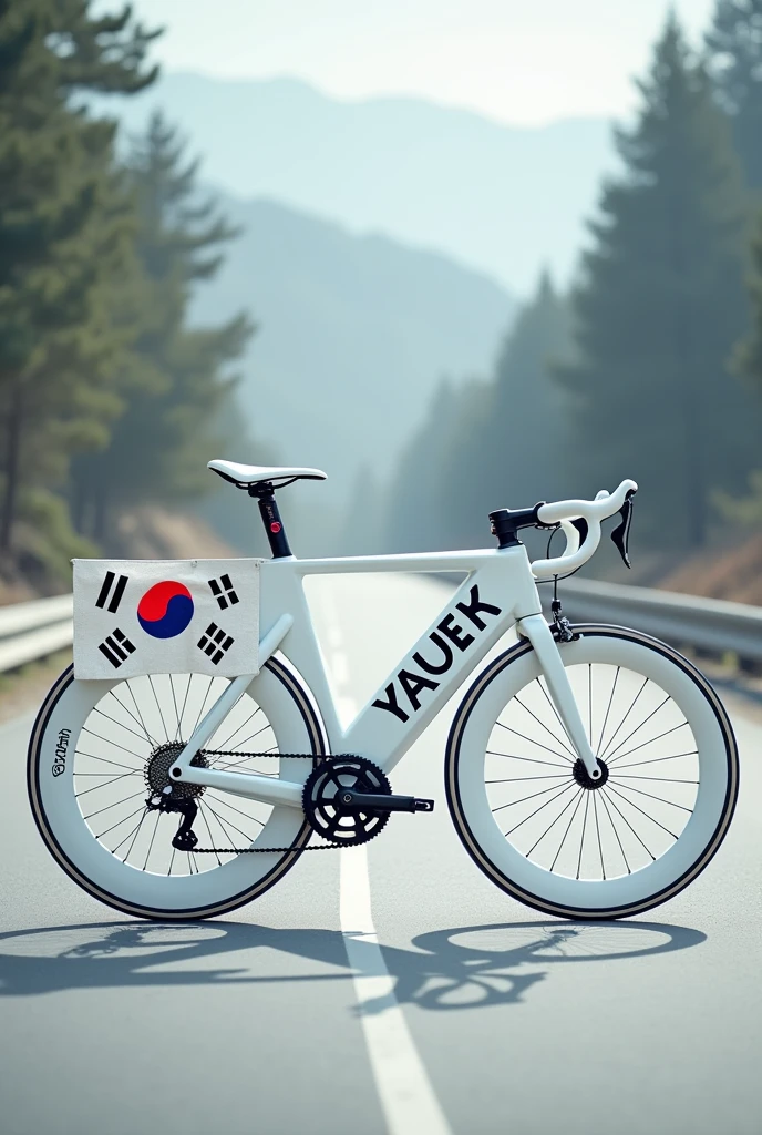 Create a white bicycle with a South Korean theme and the flag on the bike.

