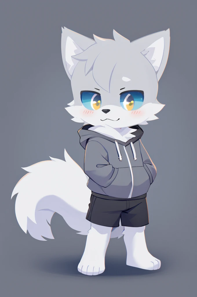 furry arctic fox man, fluffly, de shorts, gray coats, standing alone, gay, chibi