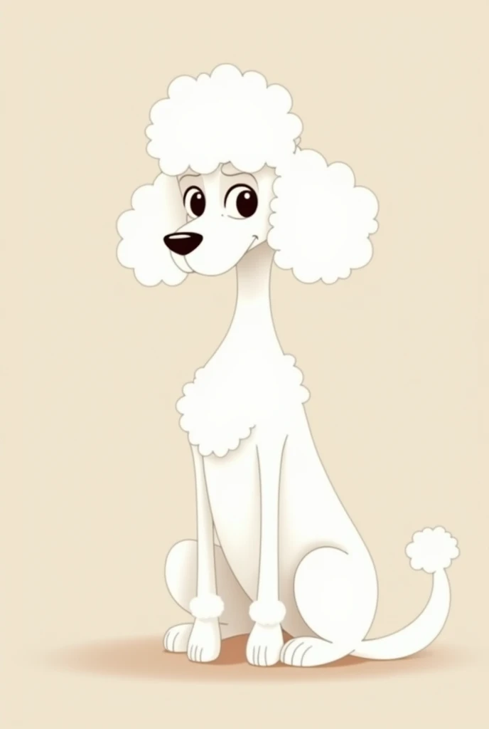 White and very flat poodle, with a thin snout, short neck and wavy ears, everything animated that is sitting